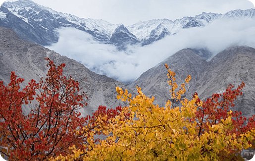 Why You Should Visit Pakistan in Autumn?