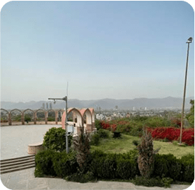 Rose and Jasmine Garden